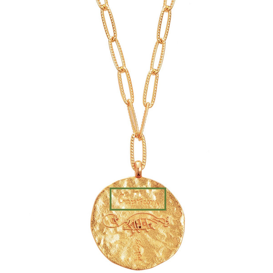 12 CONSTELLATIONS Capricorn double-sided customized coin necklace