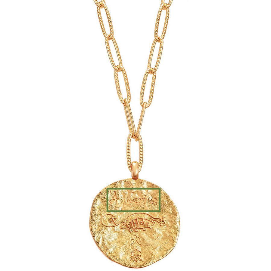 12 CONSTELLATIONS Aquarius double-sided customized coin necklace