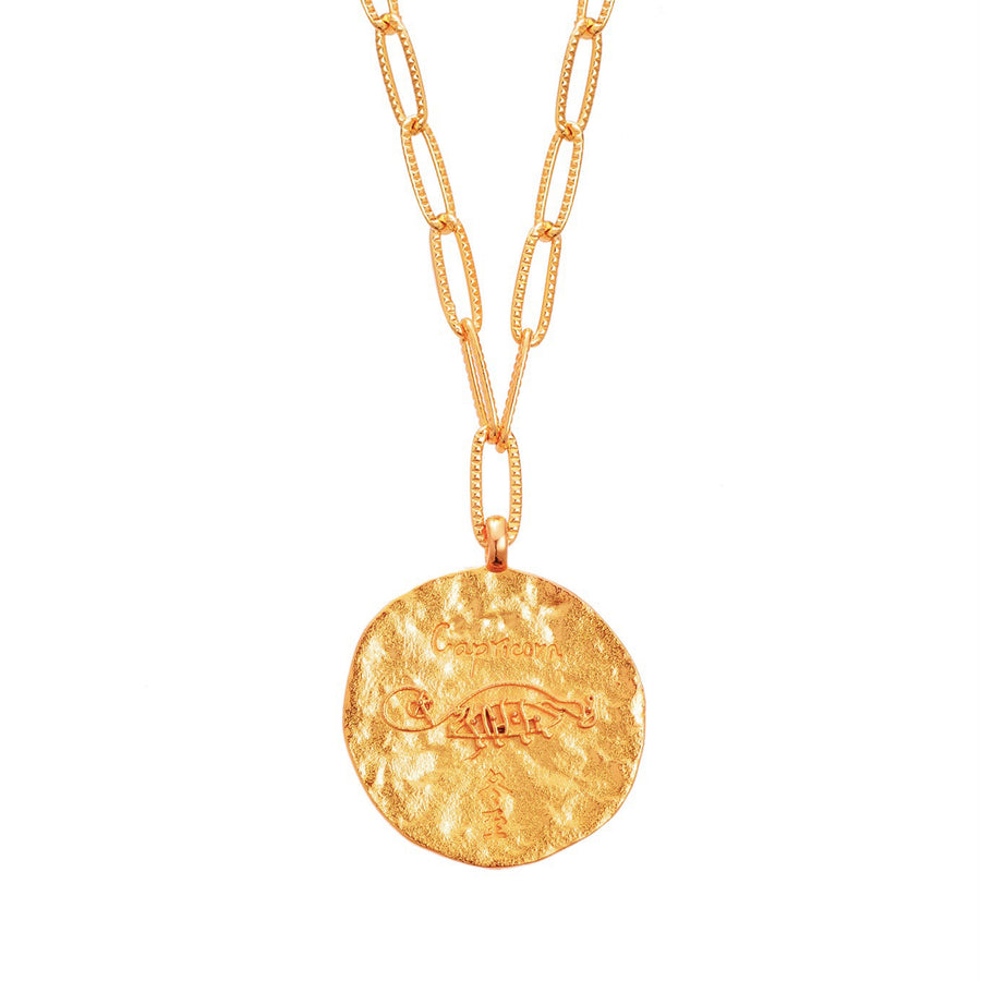 12 CONSTELLATIONS Capricorn double-sided customized coin necklace