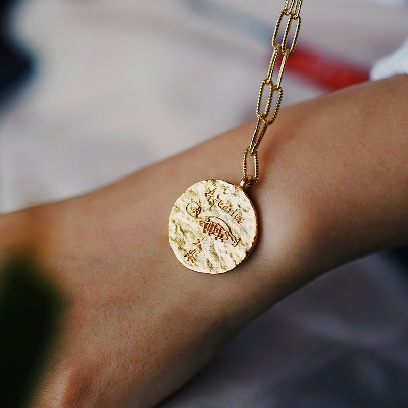 12 CONSTELLATIONS Aquarius double-sided customized coin necklace