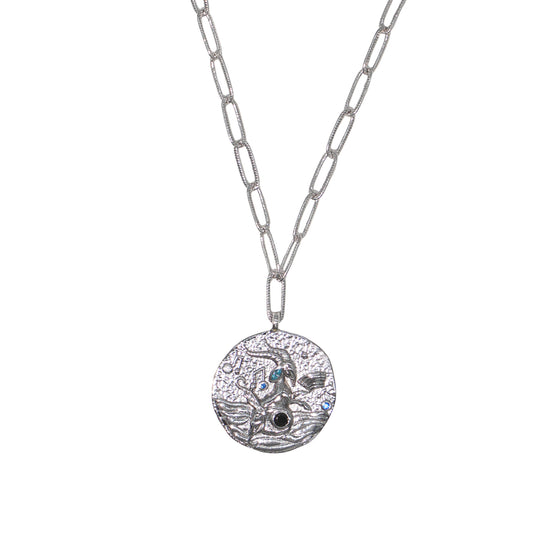 12 CONSTELLATIONS Capricorn double-sided customized coin necklace