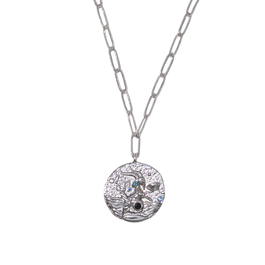12 CONSTELLATIONS Capricorn double-sided customized coin necklace