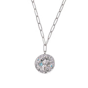 12 CONSTELLATIONS Aquarius double-sided customized coin necklace