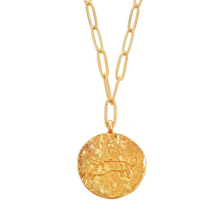 12 CONSTELLATIONS Aries double-sided customized coin necklace