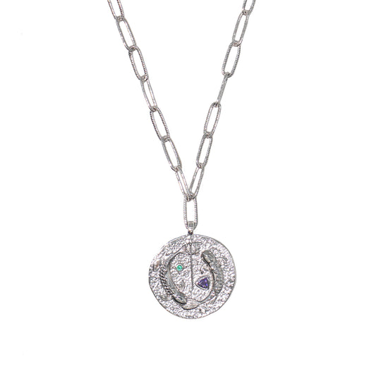 12 CONSTELLATIONS Pisces double-sided customized coin necklace