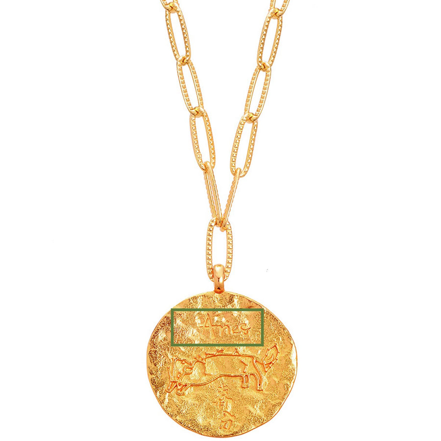 12 CONSTELLATIONS Aries double-sided customized coin necklace