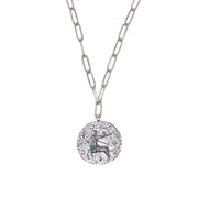 12 CONSTELLATIONS Sagittarius double-sided customized coin necklace